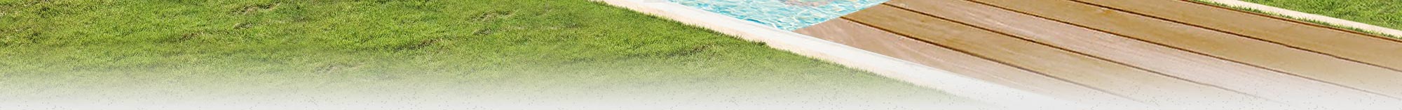 Pool Party